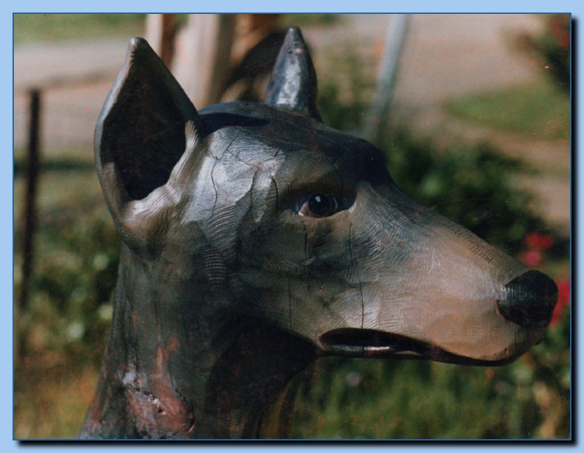 2-57 dog-doberman-archive-0004